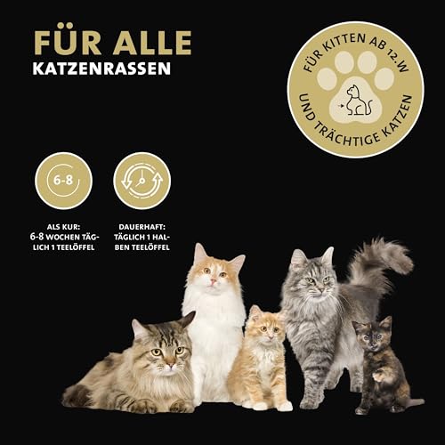 Peticare Katzen Präbiotika & Probiotika | Immunsystem stärken, Darmsanierung, Darmflora aufbauen | lindert Allergie-Anfälligkeit & Juckreiz | mit innovativem Corvitalis® Komplex - petCat Health 3501