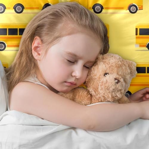 Housses de coussin velours doux faciles à laver pour protéger et décorer votre canapé