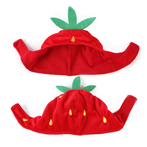 Sombrero disfraz fresa para mascota tamaño ajustable miniatura 3