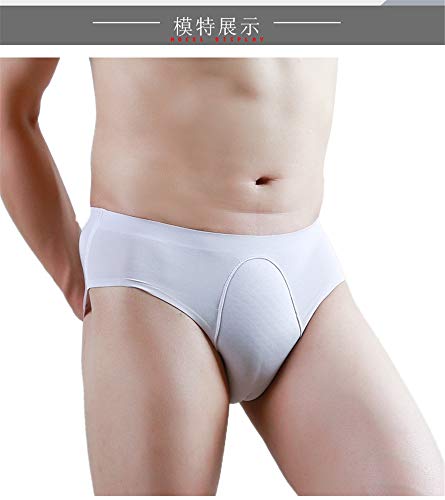 BaronHong Silk Breathable Camel Toe Hideaway Gaff Panty Shaping Brief for Crossdresser Transgender4