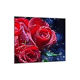 PRODUIT : Dosseret de cuisine 1 pièce en verre de sécurité. Surface facile à entretenir disponible en de nombreuses couleurs et décorations différentes.