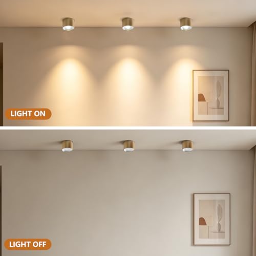 Image of Sedelan Mini Brass Ceiling Spot Light, 4.33 Inch Small Flush Mount Fixture, 7W 4500K LED Cylinder Lamp, Modern Indoor Accent Light for Closet Hallway Staircase Bedroom