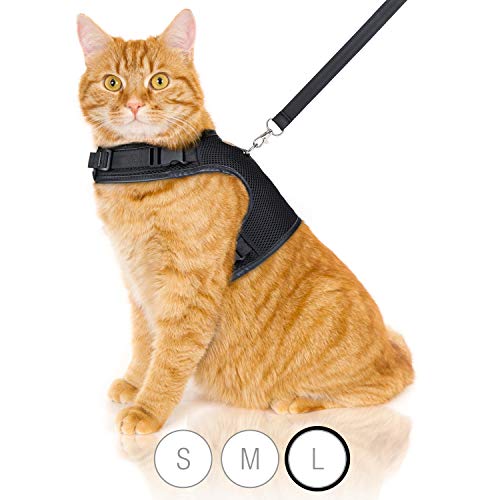 Bella & Balu Katzengeschirr inkl. Leine  ausbruchssicheres und Robustes Brustgeschirr mit weichem Innenfutter und atmungsaktivem Mesh - Für den sorgenfreien Gassigang (L, Schwarz)