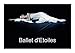 Produktbild Ballet d'Etoiles (Livre poster DIN A3 horizontal): Le spectacle Gala d'Etoiles accueille les plus grands danseurs de l'Opéra National de Paris pour un Ballet d'Etoiles (Livre poster , 14 Pages) [Oct 09, 2014] Hanel - Photographe de spectacle, Alain