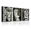 Black White Lion