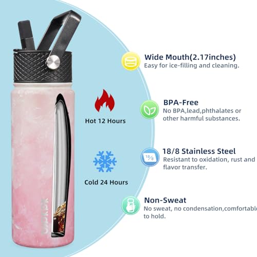 Image of BJPKPK 2 Pack 22oz Insulated Water Bottles with Straw Lids, Stainless Steel