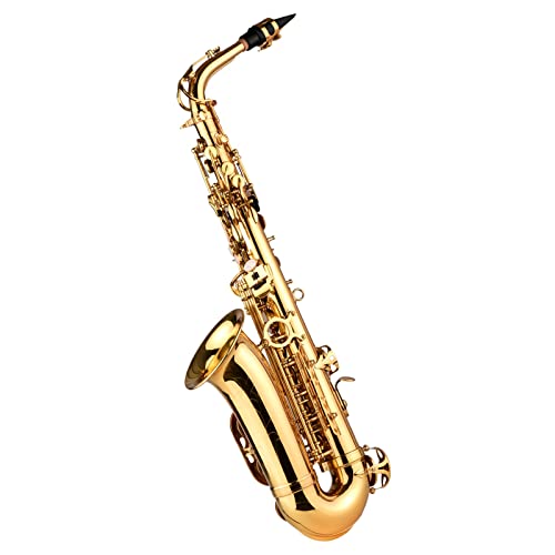EB Alto Saxophone ^J bJ[dグ Ag Ǌy L[P[X O[uXgbvt