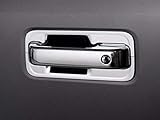 QAA is Compatible with 2015-2020 Ford F-150, 2017-2020 Ford F-250 & F-350 Super Duty 12 Piece Chrome Plated ABS Plastic Door Handle Cover Kit, Includes Key DH55310