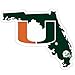 NCAA Siskiyou Sports Fan Shop Miami Hurricanes Home State Decal One Size Team Color