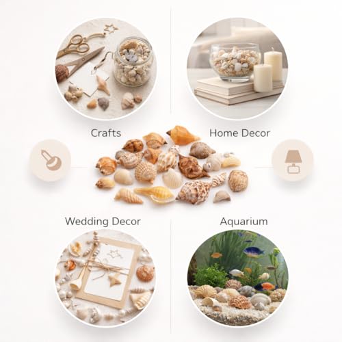 Image of Nivip Mixed Natural Seashells 450g - Different Sizes (2-6 cm), Unique Shapes & Colors for Aquarium, Vase Filler, Beach Decor, DIY Crafts, Resin Art, Home Decoration