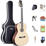 Rosen V1 Hybrid Acoustic Guitar for Beginners...