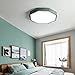 LKJOZCR Nordic Style LED Flush Mount Ceiling Light, 3-Color Dimming Sanseguang Indoor Ceiling Lamp Household Energy Saving Bedrooms/corridors/Laundry Rooms Lighting Fixtures(Green,30cm)