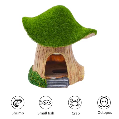 Image of AnRui Green Moss Mushroom Aquarium Decor Cute Fish Tank Decorationss Resin Aquarium Decor Hideout Cave Ornament for Small Fish, Hermit Crab, Shrimp, Goldfish and Reptiles