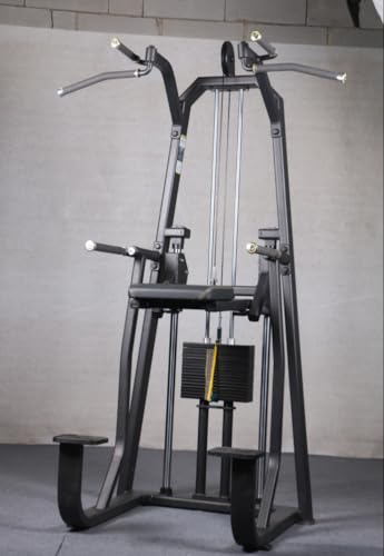 Image of Assisted Chin and Dip Machine with 176 lbs Weight Stack for Home and Commercial Gym