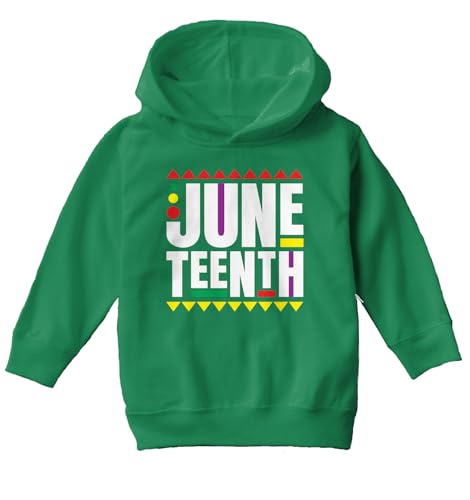 Haase Unlimited Juneteenth - National Freedom Day Toddler/Youth Fleece Hoodie2