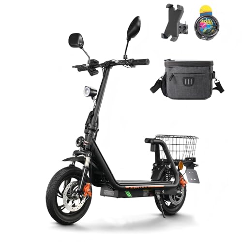 TWOFISH E Scooter mit Straßenzulassung(EEC...