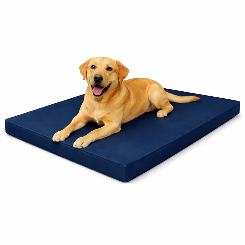 MOTHER LAND Waterproof Dog Bed Heavy Duty Foam Pet Mattress Cushion Dog Bed MatCrate Kennel, FloorTravel Durable Puppy BedSmall Medium Large Dogs (NAVY BLUE, XX-Large 120 × 75 × 5 cm 48″ × 30″ × 2″)