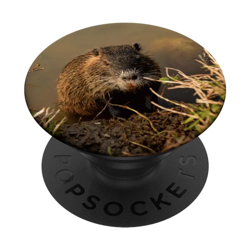 Nutria PopSockets PopGrip Interchangeable