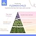 Klone & Co - Flower Child - Inspired by Nest New York Cedar Leaf & Lavender - Compatible with Bath & Body Works Home Fragrance Wallflower Plug-in - Lavender, Rosemary, Sage, Cedarwood & Vetiver - 30ml