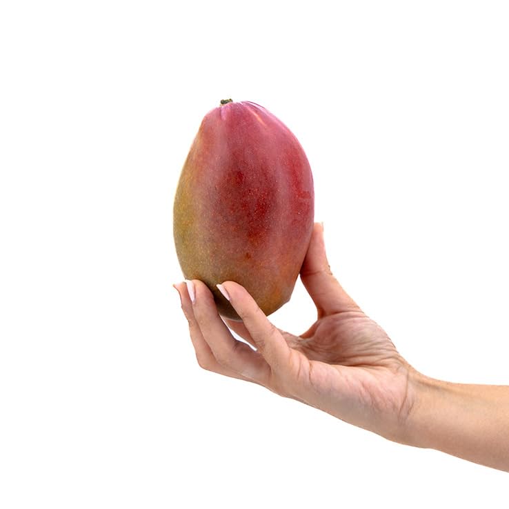 Mango Osteen 4kg, La Parcela, Origen España, Andalucía (Costa Tropical), Comprar Mango Fresco, De La Huerta A Tu Casa, Producto de Cooperativa Granada La Palma