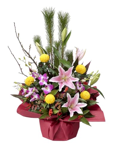 ������ �ԃL���[�s�b�g �������̃A�����W�����g pp00az-511909