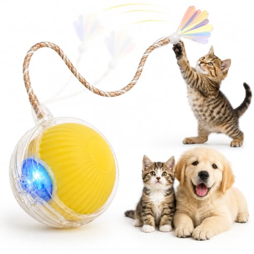 CKFPS Interactive Cat Toy Ball with LED Lights &ndash; USB-C Rechargeable Automatic Cat Toy with Feather...