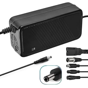 charger for an electric bike