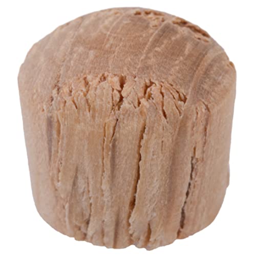 Image of Oak Round Head Screw Hole Plugs | Diameter: 1 /4 inch | Pack of 50 Approx. | Turned End Grain Screw Hole Buttons, Furniture Grade | UA-076-OW