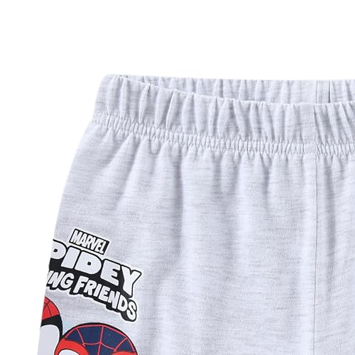 Image of Marvel Spidey and His Amazing Friends Boys Short Sleeve T-Shirt and Shorts Set for Toddlers