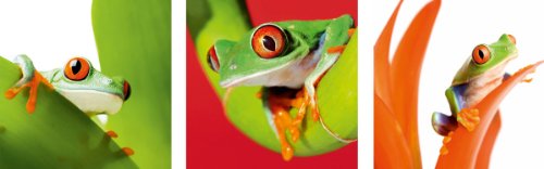 Eurographics Deco Print DP-DT6021, Adesivo da