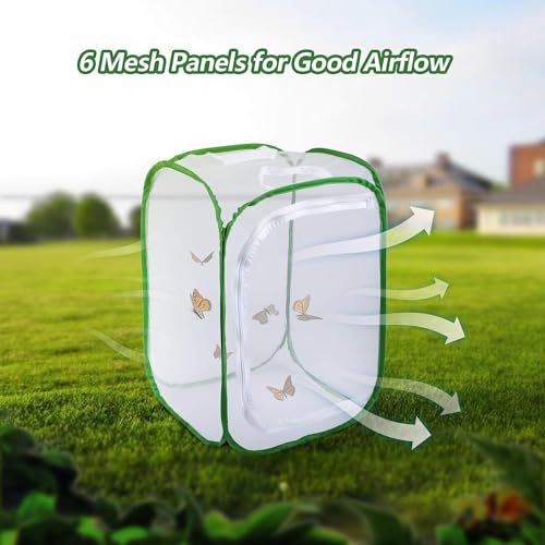 Cage chenilles pliable et transparente pour observation de plantes et insectes