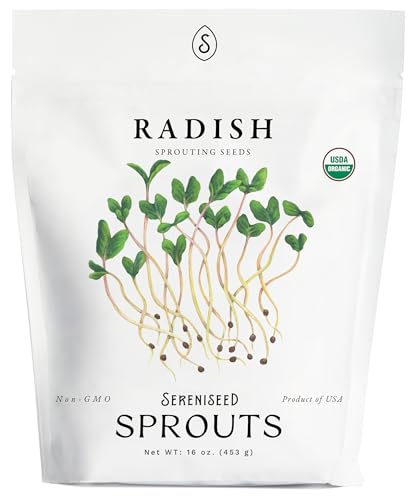 Organic Radish Sprout Seeds (16 oz) Non-GMO Heirloom Seeds for Sprouting and Microgreens