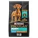 Purina Pro Plan Large Breed Dry Puppy Food, FOCUS Chicken & Rice Formula - 18 lb. Bag