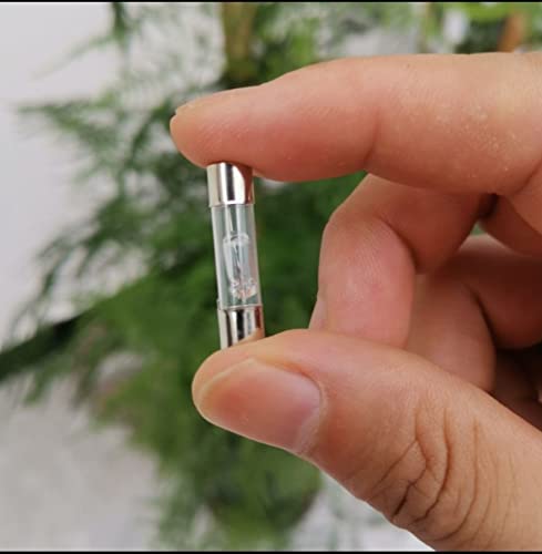 e-INFINITY 2 pieces incandenscent Bulb For Car Truck Tester 6-24 volt 3 watt(Fuse Shape/Long Leg/ T5Weidge bulb (6-12V CAR TRUCK TESTER RETROFIT BULB)