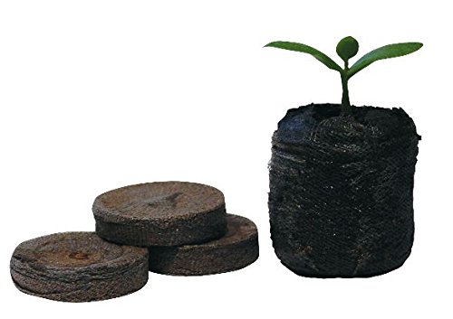 Jiffy 38 mm Enchufe turba (1000 Unidades)