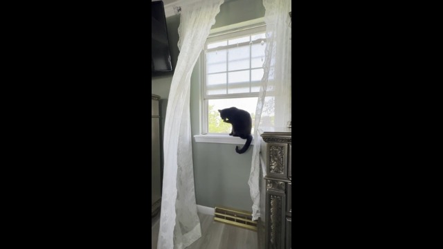 YJ YANJUN Vintage Lace Curtains 84 Inches Long-Romantic Flowers and Branch Sheer Lacy Curtains for Living Room French Door 1 Pair Rod Pocket, 52 x 84 Inch Ivory