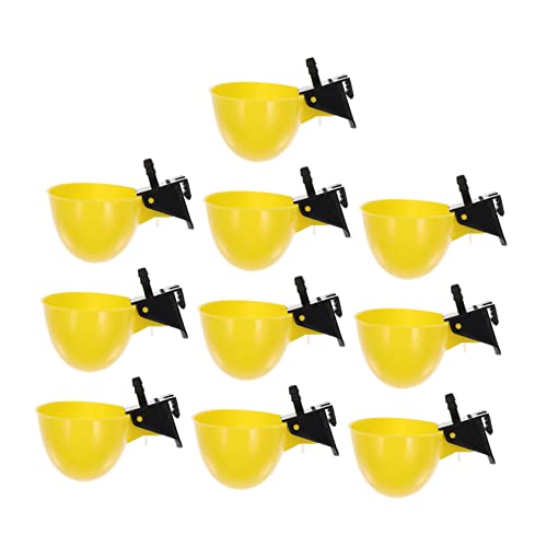 Loigohon 10 ݊ p Jbv ? hH݌v ϋvvX`bNf Ђ悱 EY  {̎ɓKp