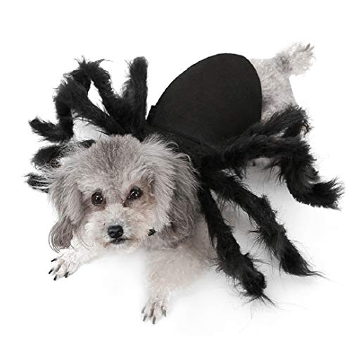 Idepet Pet Dog Halloween Spider Costume 8 Spider Wing Cosplay Clothes For Small Medium Dogs Puppy Cat Kitten Outfits Dress Up Party Hoilday Costume Decoration Hair Accessories thumb #5