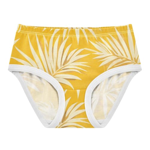 GuoChe Cotton Briefs Underwear Moisture Wicking Breathable Underwear for Young Girls in Sizes 2T-8Y