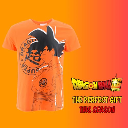 Dragon Ball Z Camiseta para Hombre, Goku Camiseta Algodón Suave Camiseta de Manga Corta Hombre y Adolescentes (FR/ES, Letras, L, Regular, Regular, Naranja)