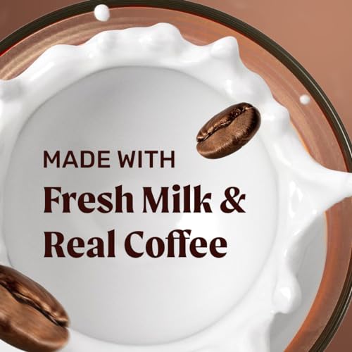 Sleepy Owl Hazelnut Cold Coffee | 4 x 230mL Cans | Made With Real Milk & Coffee | No Preservatives - Image 4