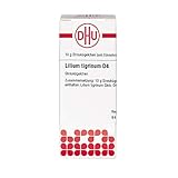 aktie lilium aviation zur Anwendung gemäß homöopathischen Arzneimittelbildern