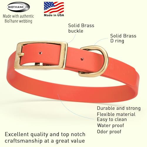 Image of Viper Biothane Heavy Duty Waterproof Dog Collar Strong Coated Nylon Webbing w /Solid Brass Hardware Odor-Proof Easy to Clean High Performance Fits Small Medium or Large Dogs, Coral