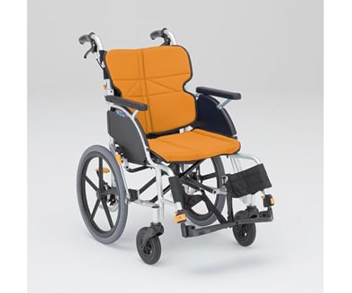 i쏊 Ԉ֎qEpi lNXgRA  hbNdl IW NEXT-21B HBD F-1