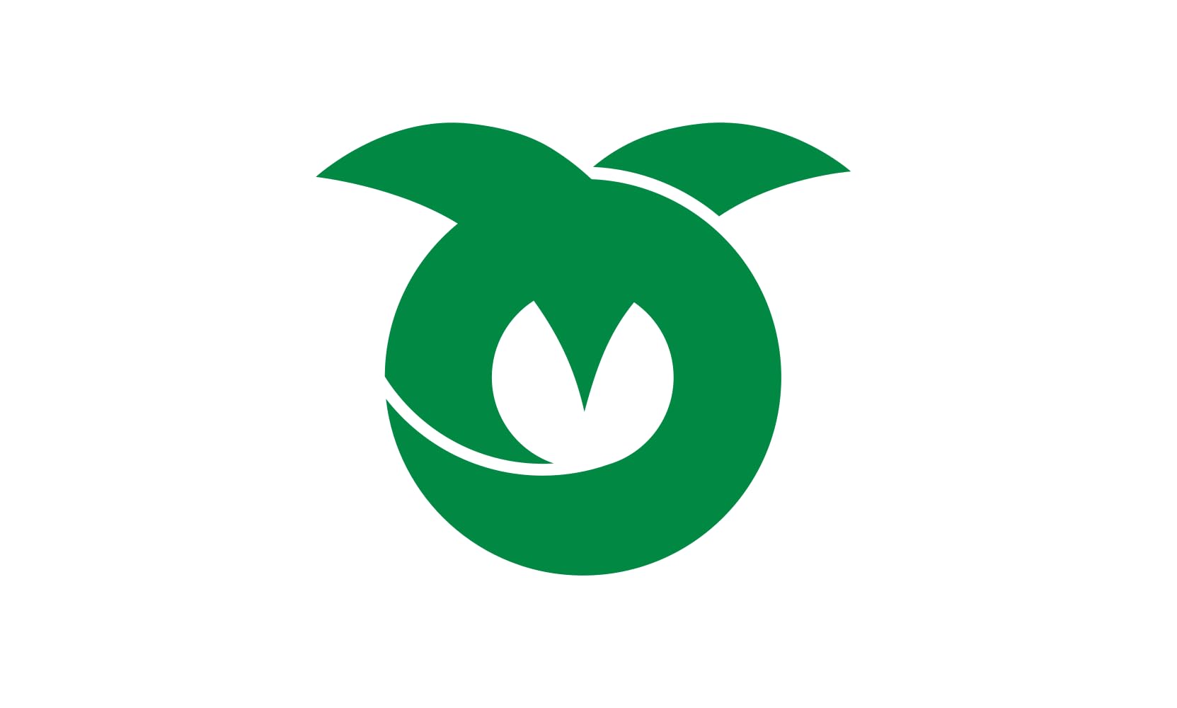Drapeau paysage Kasuya Fukuoka 1.35m² pour décoration murale et événements