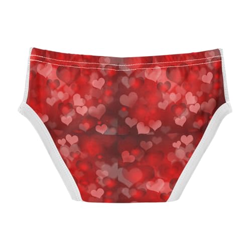 Boys' Exclusive Briefs Toddler Underwear 95% Combed Cotton Boxerbriefs 2T Blurred Heart Pattern 212