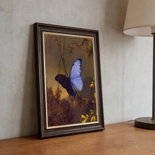 Impression toile Morpho papillon bleu Martin Johnson Heade cadre mural - 5