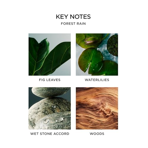 Image of Nest New York Scented Votive Candle, Forest Rain - 2 oz - Up to 28-Hour Burn Time - Reusable Glass Vessel