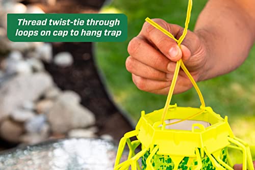Rescue! RESCUE - 42853500016 - 3PK Visilure® Trapstik For Wasps thumb #7