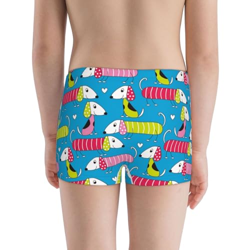 Boys' Cotton Boxer Brief Soft Underwear-Color Dachshund Dog3